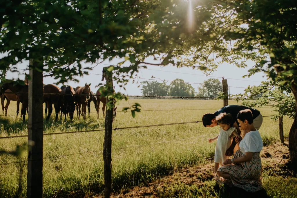séance photo grossesse en famille avec des chevaux - photographe grossesse bordeaux
