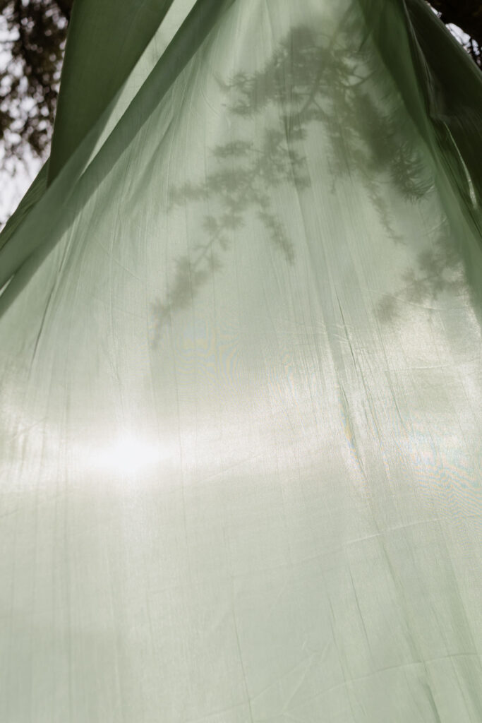 detail of light in Avignon, France.