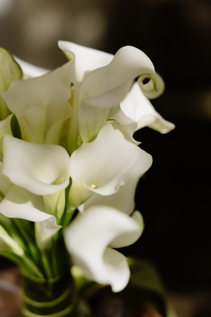 wedding bouquet detail
