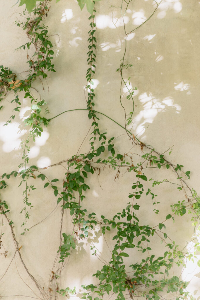 intimate wedding celebration in Avignon south of France